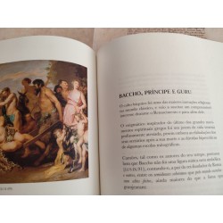 Epistolário Magno de Luís de Camões, vol. I — Celestina em Lisboa [Edição crítica, analítica e comentada]